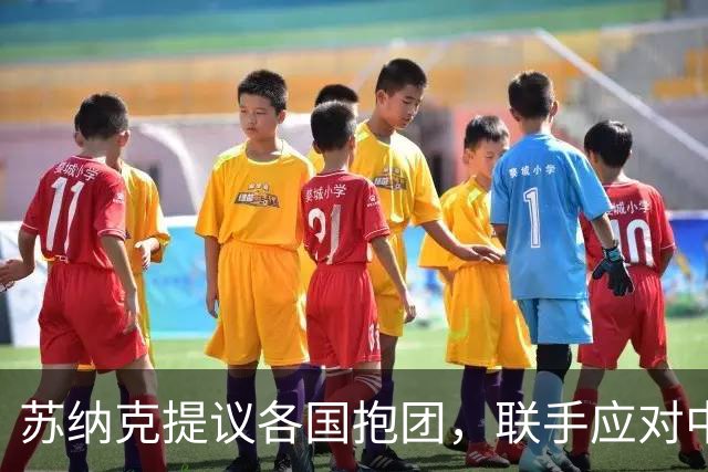 苏纳克提议各国抱团，联手应对中国？现实情况没那么简单